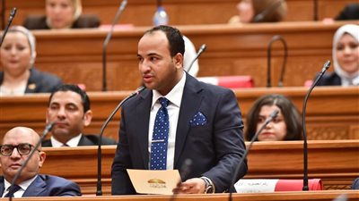 برلماني: رسالة ترامب للرئيس السيسي تمثل تقديرًا دوليًا واضحًا للجهود المصرية