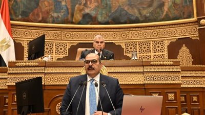 عضو بـ«الشيوخ» يستعرض طلب مناقشة بشأن انتشار ورد النيل بالمجاري المائية