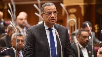 برلمانية الجبهة الوطنية بالشيوخ: استثمارات الدولة في حماية الشواطئ والمياه «أمن قومي»