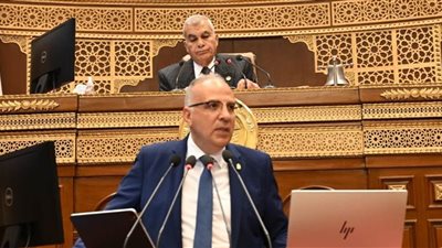الجيل الثاني لمنظومة المياه في مصر.. وزير الري يكشف تفاصيل جديدة أمام مجلس الشيوخ