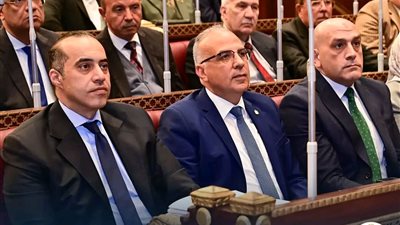 بحضور فوزي.. تفاصيل جلسة «الشيوخ» لمناقشة التغيرات المناخية وانتشار ورد النيل
