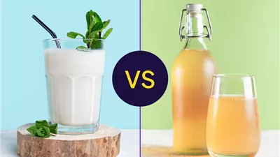 اللبن الرائب أم الشاي المخمر؟ مقارنة غذائية بين أشهر مشروبين لصحة الأمعاء