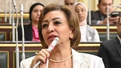 برلمانية تسأل الحكومة عن جدوى اللجان المرورية والملصق الإلكتروني