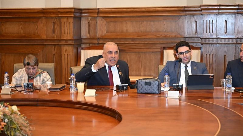 محمد أبو النصر