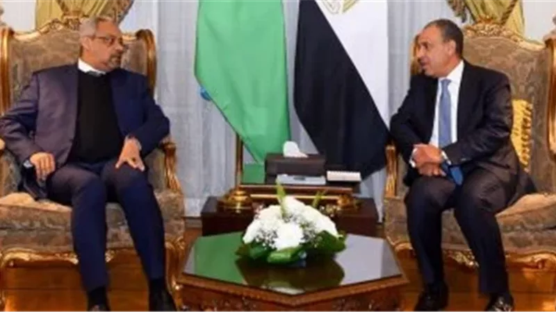 جانب من اللقاء 