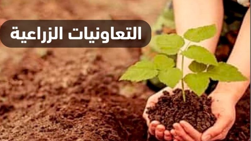 الجمعيات الزراعية
