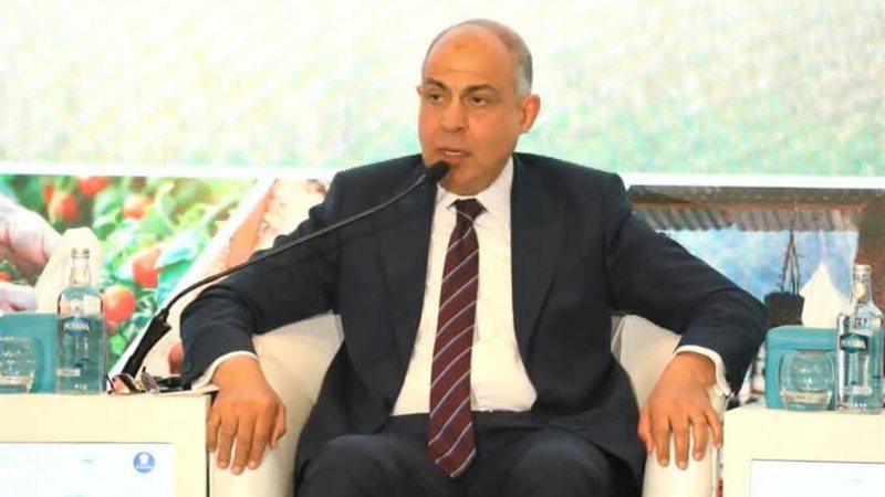 محافظ المنيا 