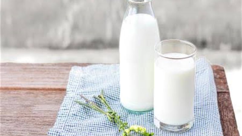 الحليب كامل الدسم