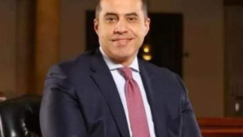  المستشار محمود فوزي