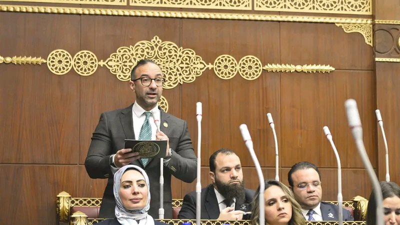 النائب أحمد الحمامصي