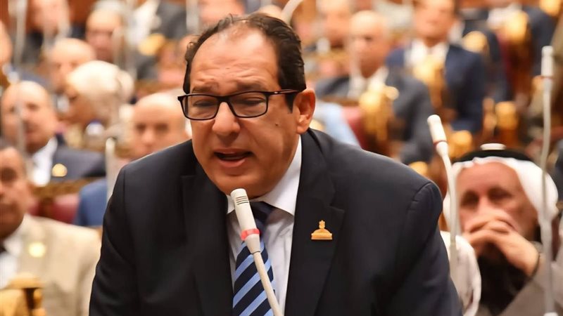  النائب حسام الخولي