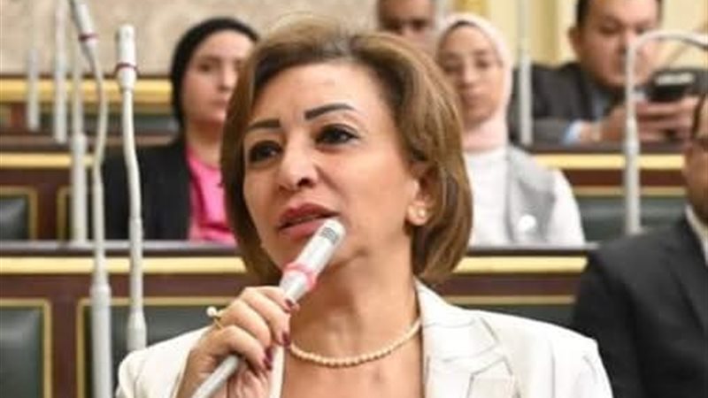 النائبة مها عبد الناصر،