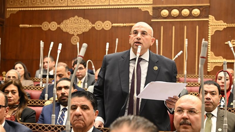 النائب أشرف عبدالغني