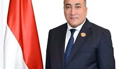 برلماني: كلمة الرئيس السيسي في دافوس تعكس رؤية مصر الشاملة للاستقرار والتنمية