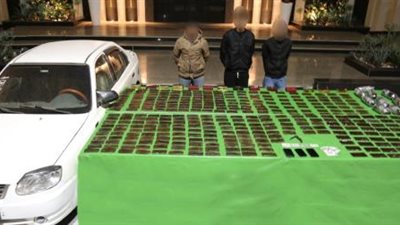 مصرع 3 عناصر إجرامية وضبط نصف طن مخدرات و77 سلاحًا ناريًا في عدة محافظات