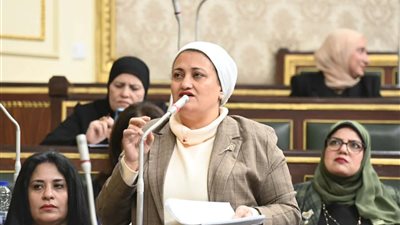 سناء السعيد تطالب الحكومة بسرعة إصدار اللائحة التنفيذية لقانون رعاية حقوق المسنين