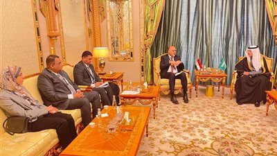 تعزيز التعاون المصري السعودي.. وزير العمل يلتقي نائب وزير الموارد البشرية السعودي