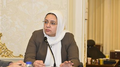 ريهام عبدالنبي تفتح ملف قرى الأقصر المهمَّشة وتطالب بإنشاء مناطق صناعية