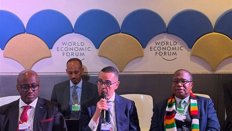 وزير الاستثمار