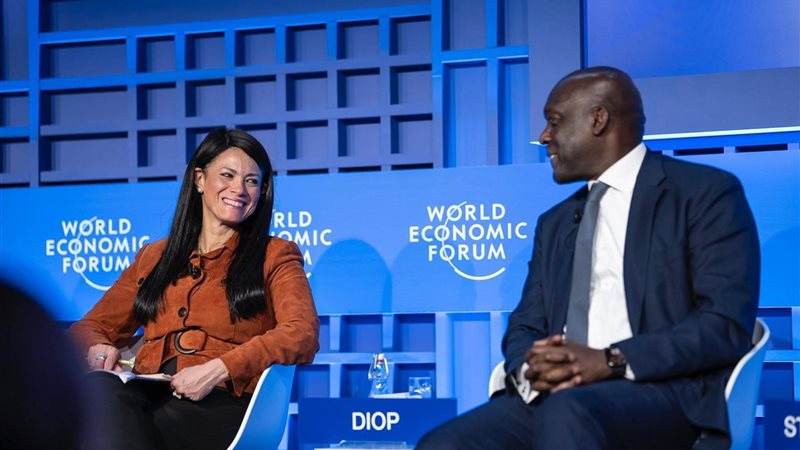 وزيرة التخطيط 