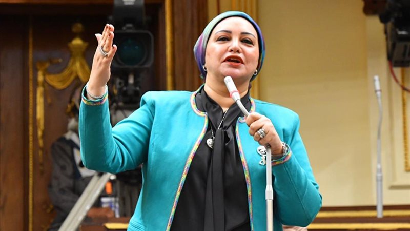 النائبة سولاف درويش