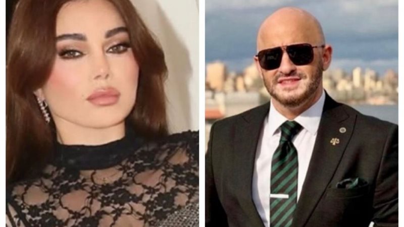 المستشار شريف حافظ