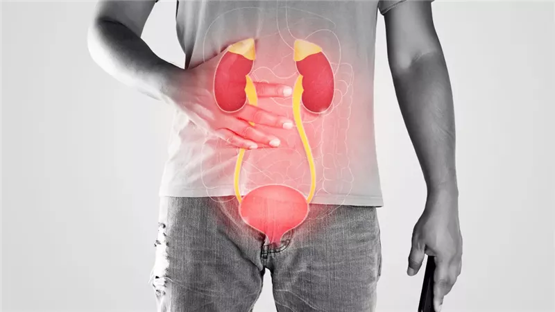 أمراض الكلى 