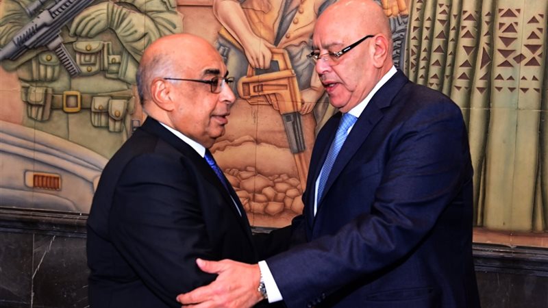 المستشار هشام بدوي