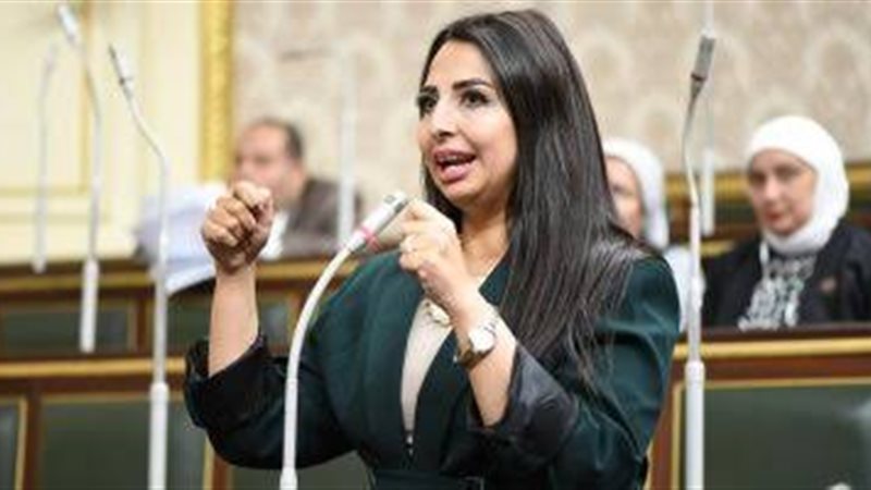 النائبة نشوي الشريف