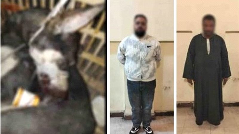 المتهمين والمضبوطات