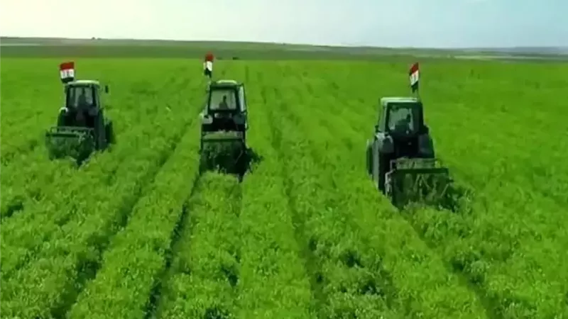 مشروع الدلتا الجديدة