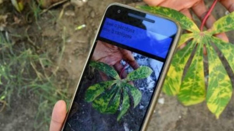 تطبيق نباتك