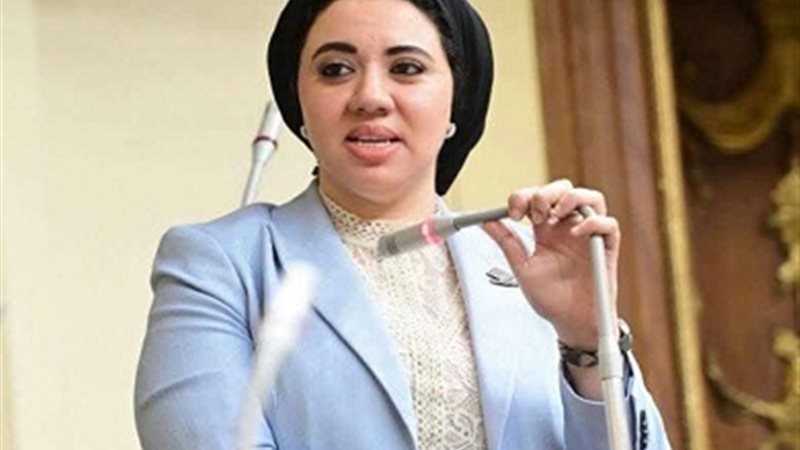 النائبة أميرة صابر