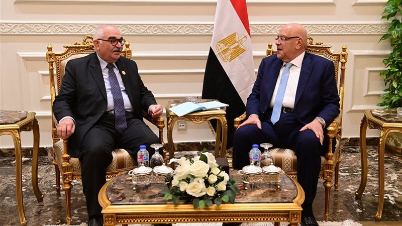 جانب من الاستقبال