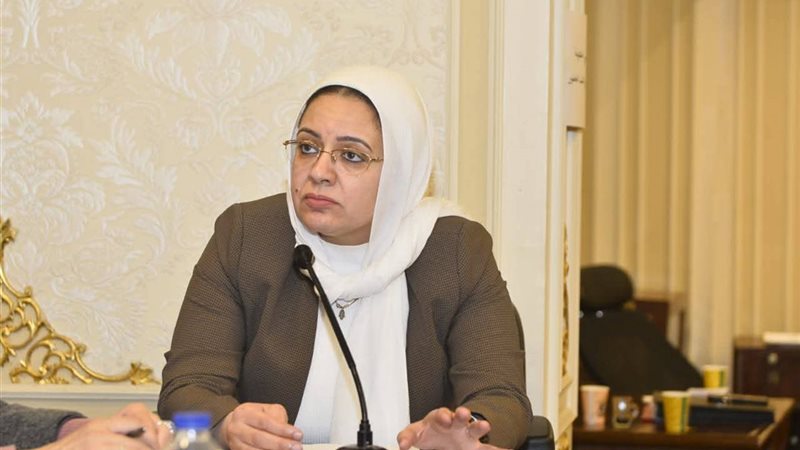 النائبة ريهام عبد