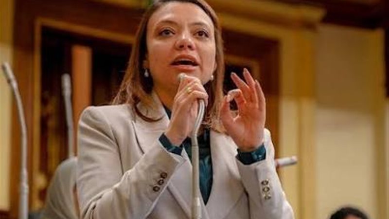 النائبة مي كرم جبر