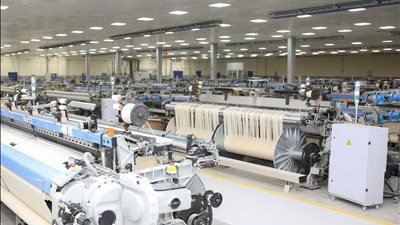 وزير قطاع الأعمال: تطوير 