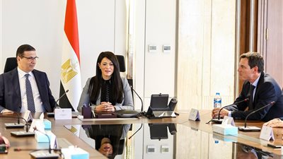 علاء فاروق: الدولة حريصة على مشاركة القطاع الخاص في مشروعات التنمية الزراعية والريفية