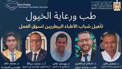 بمشاركة الدكتور يوسف عامر.. «الشباب والرياضة» تنفذ برنامجا متخصصًا في طب ورعاية الخيول