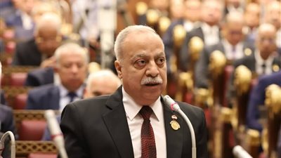 لتخفيف معاناة نصف مليون مواطن.. نائب بالشيوخ يطالب بوحدة جوازات بزفتى