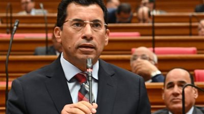 صبحي يشكر النواب على الموافقة المبدئية لتعديل قانون نقابة المهن الرياضية