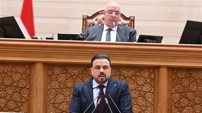 حماة الوطن يختار محمد مجاهد نائباً لرئيس الهيئة البرلمانية بمجلس النواب