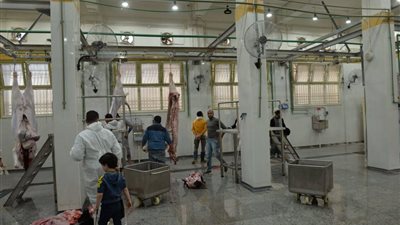 افتتاح المجزر الآلي بمدينة السنبلاوين بتكلفة 26 مليون جنيه