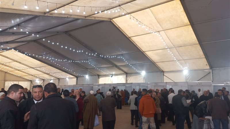 انتخابات الوفد 