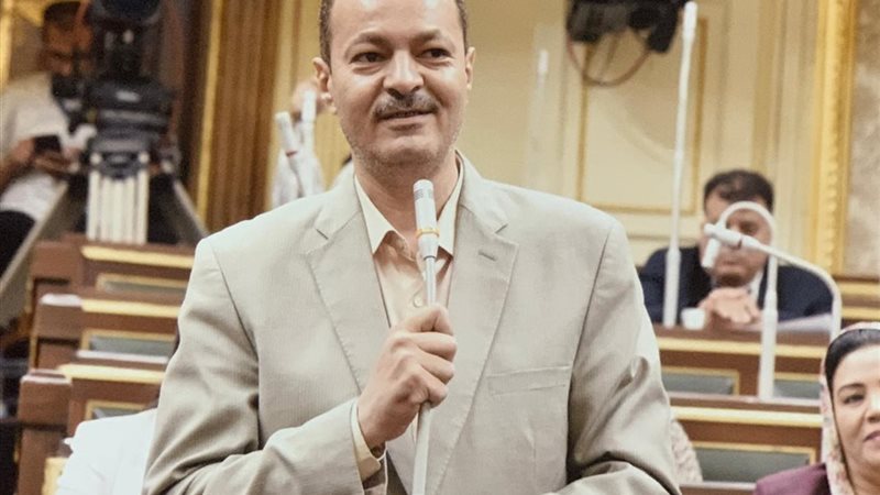 النائب حسين غيته