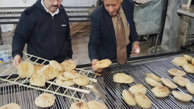 تموين المنيا 