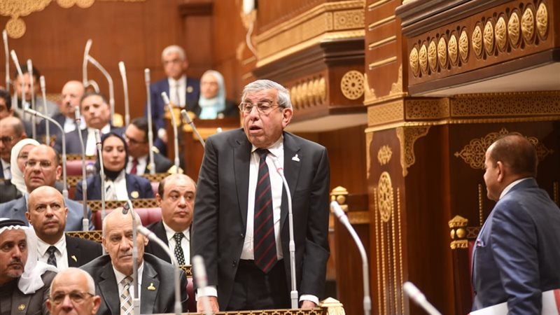 علاء عبد النبي