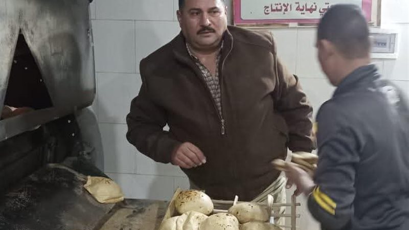 تموين المنيا 