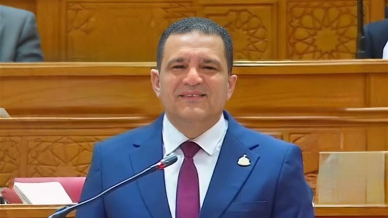 النائب أمير الجزار