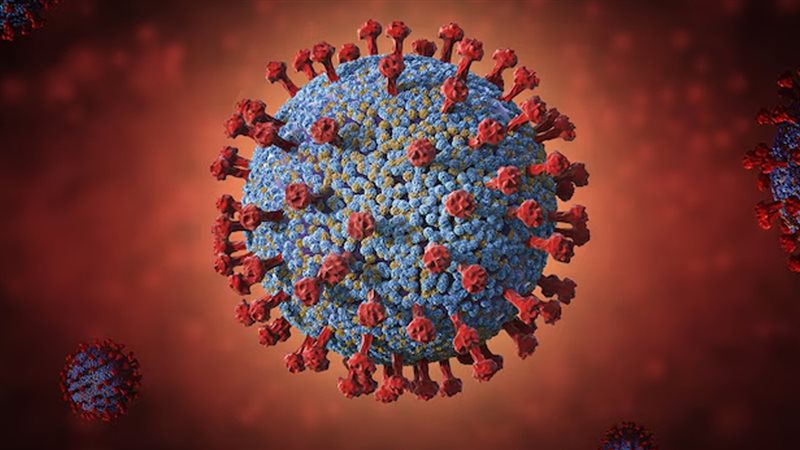 فيروس نيباه 